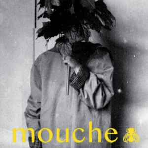 Mouche n°1