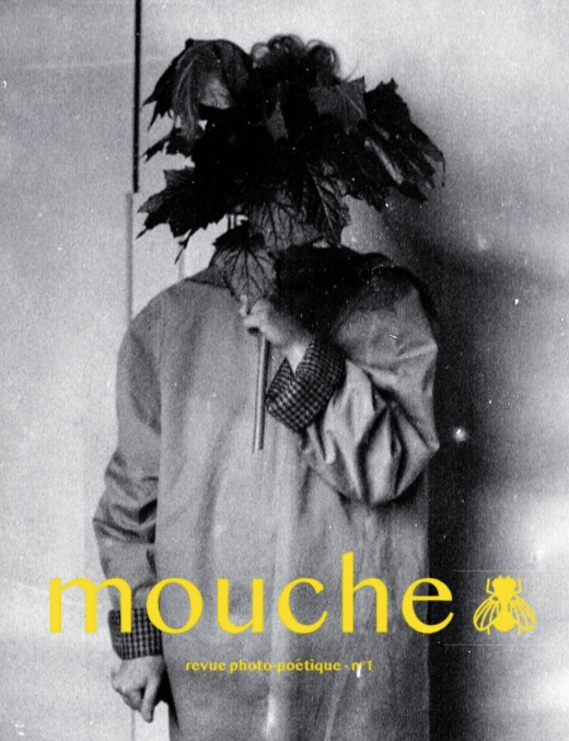 Mouche n°1
