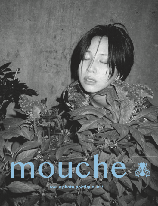 Mouche n°3