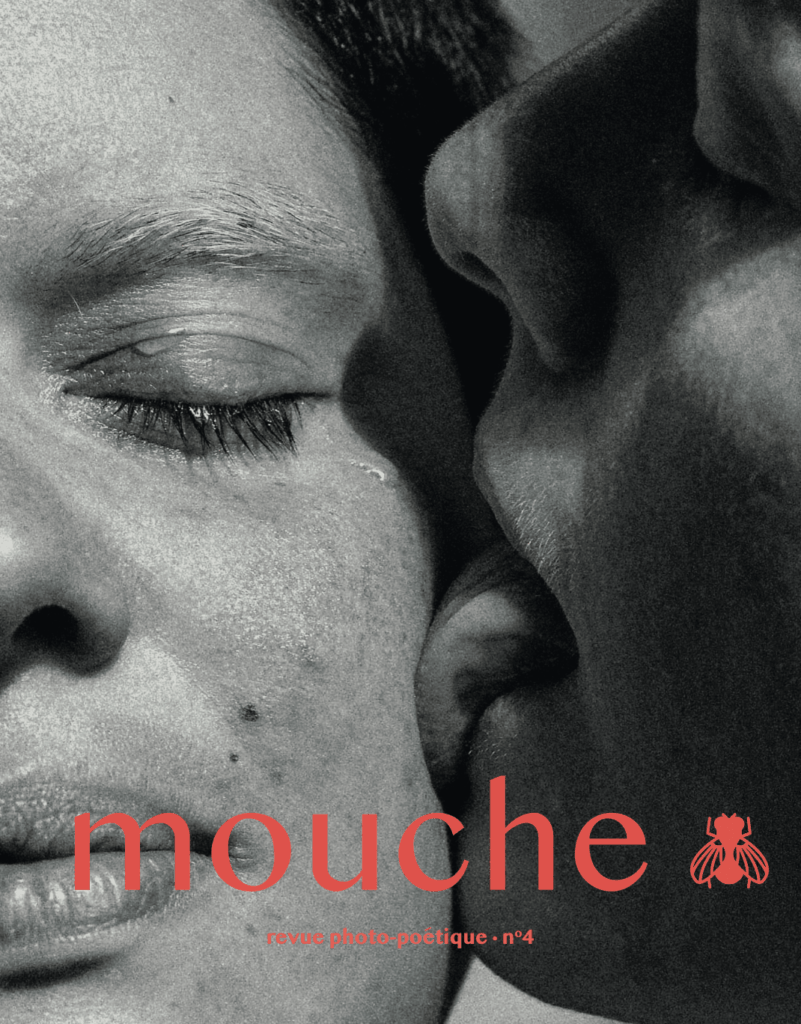Mouche n°4