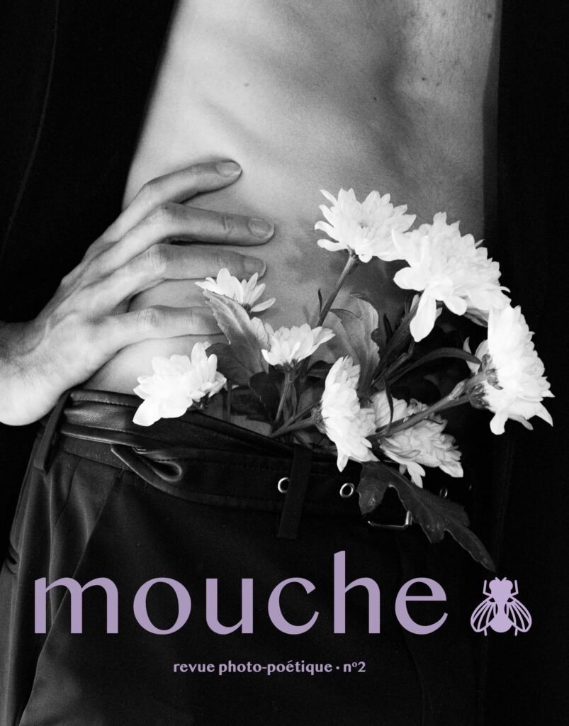 Mouche n°2